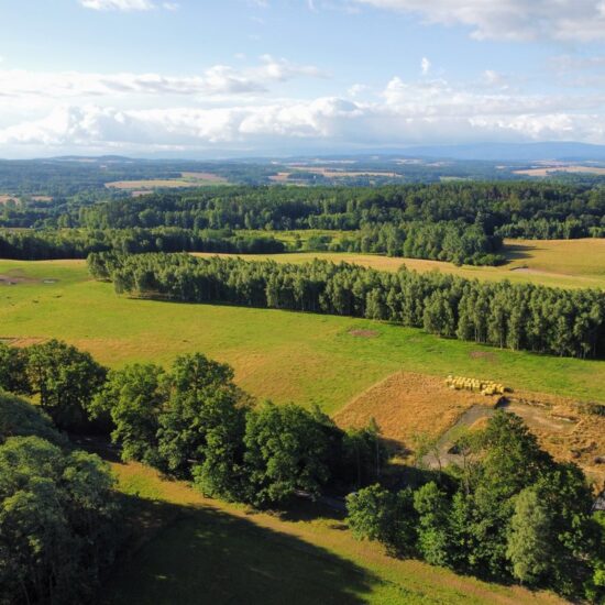 Property Featured Image