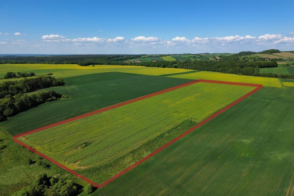 Property Featured Image