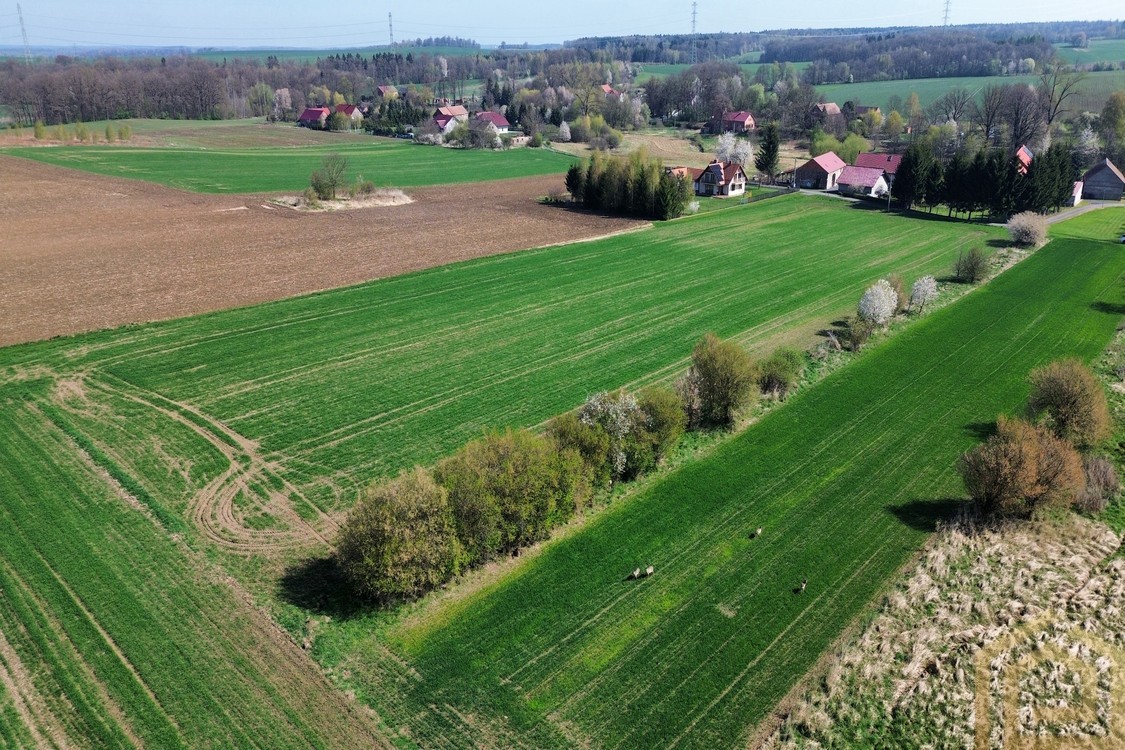 Property Featured Image