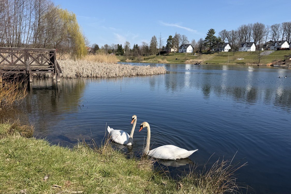 Property Featured Image